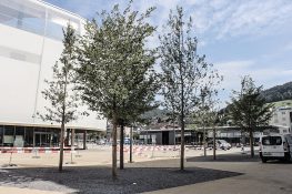 Zentraler Platz