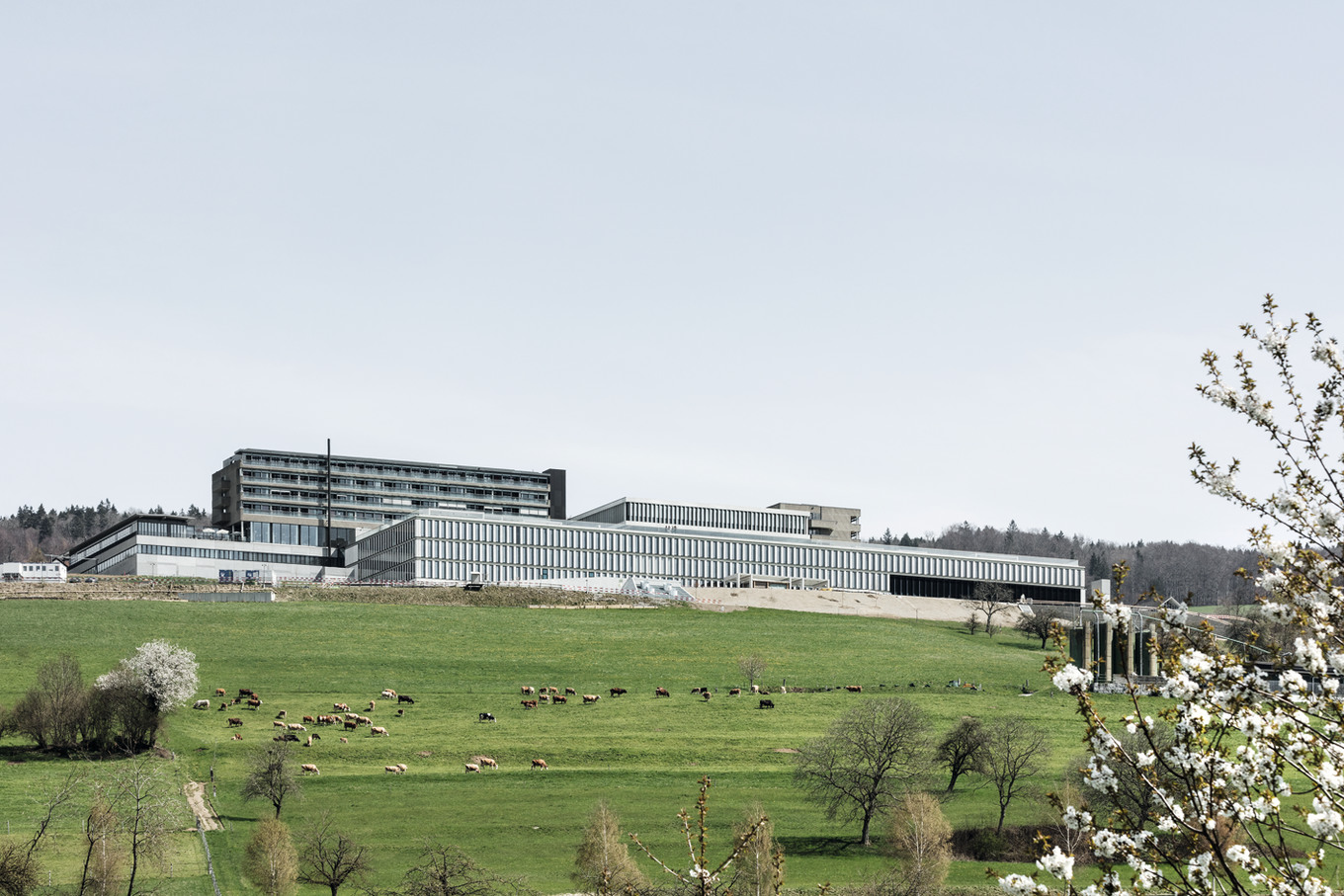 Rehaklinik