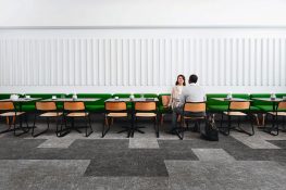 Graphlex-Rückenkonstruktion