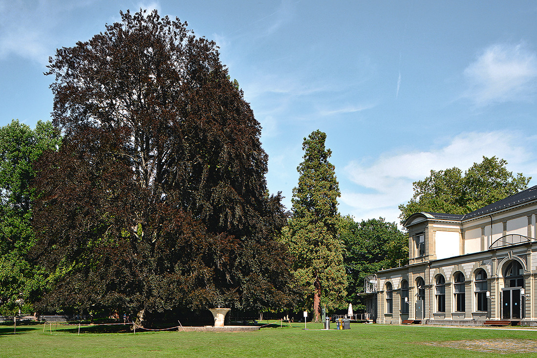 Schulhausplatz