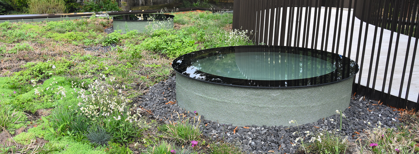 Lichtdurchlässigkeit