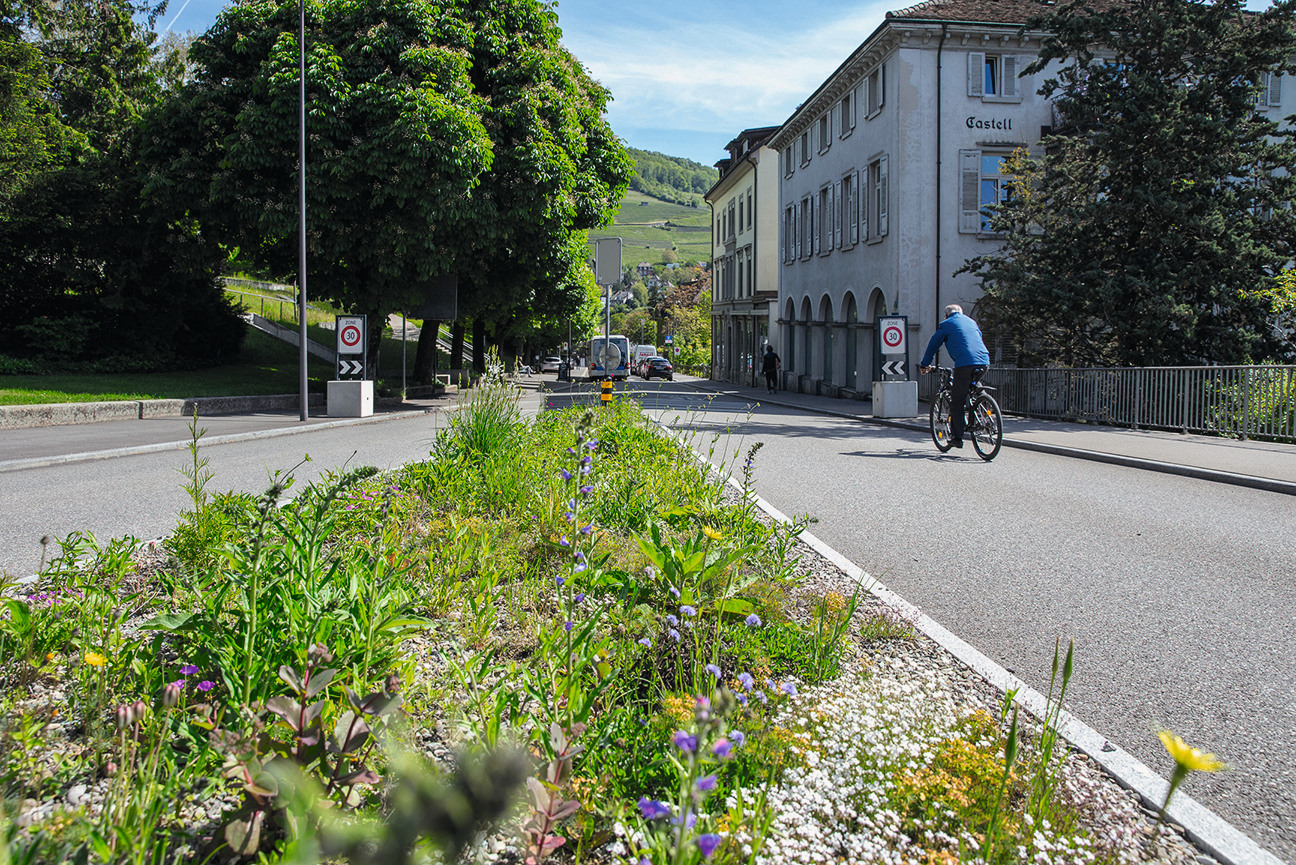 Biodiversität