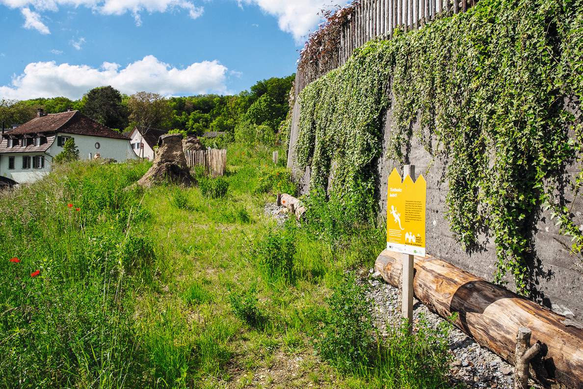 Biodiversität